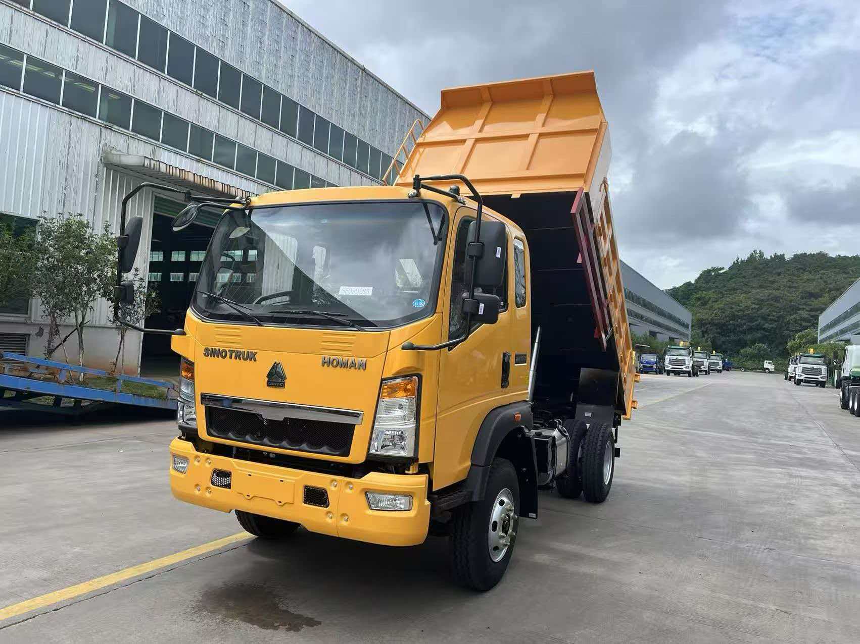 Light Dump Truck